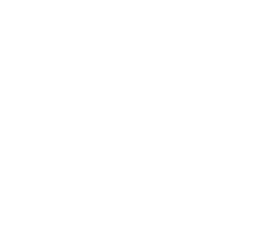 Career Readiness Report